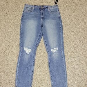 Articles Of Society High Rise Straight Womens Jeans Sz 29, Distressed NWT